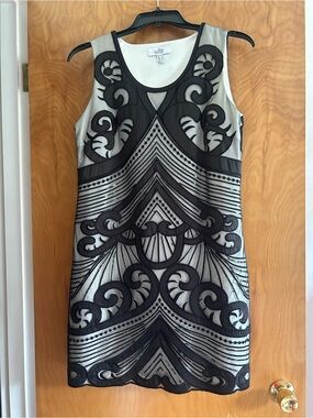 Sleeveless Black Appliqué Mini Dress with Cream Underlay